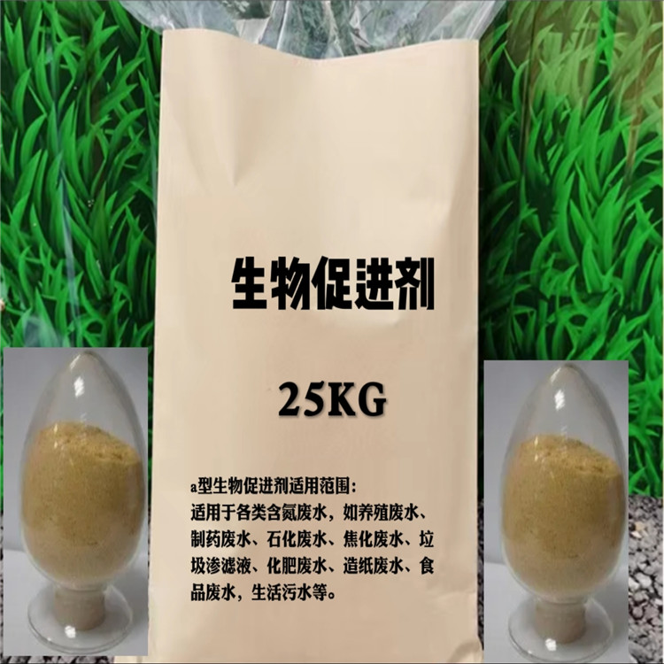 ����ٽ���