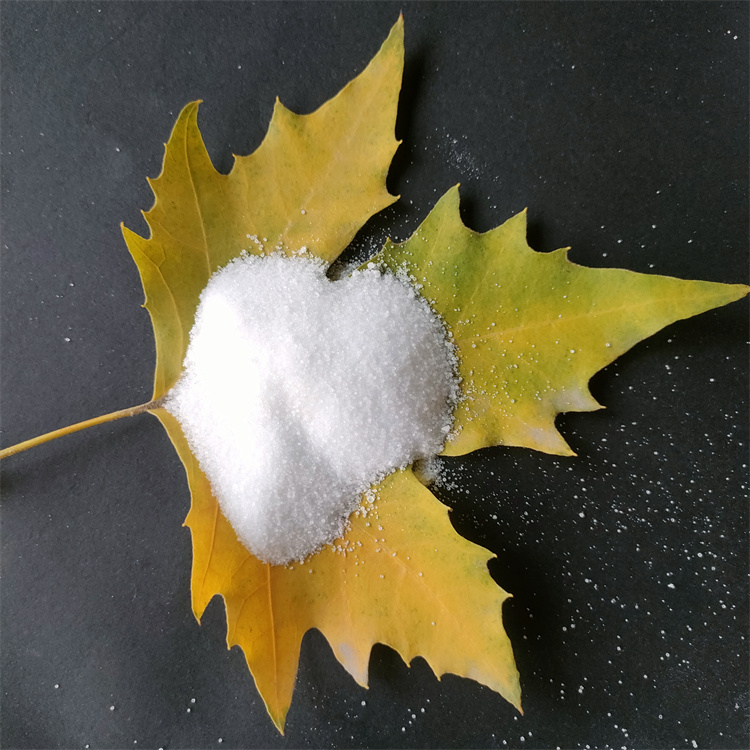 ¾Û±ûÏ©õ£°· ¾Û±ûÏ©õ£°·