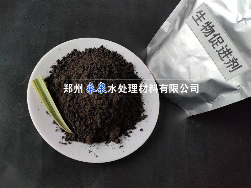 II������ٽ���