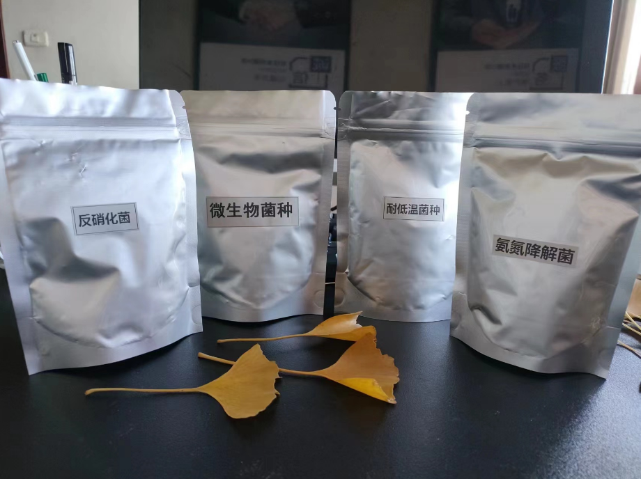 ΢�������