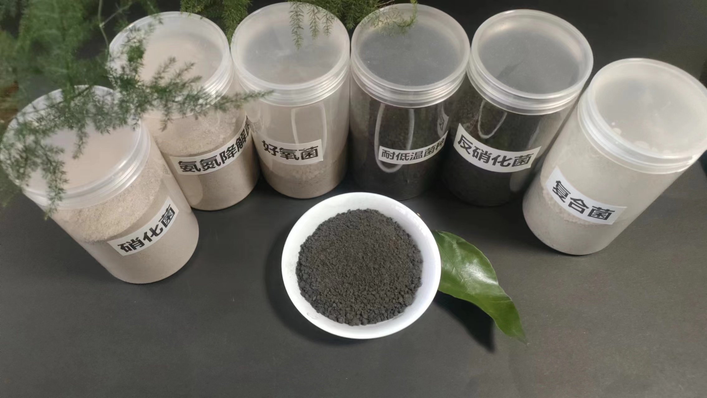 ΢�������