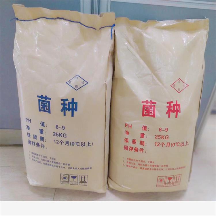 微生物菌种 微生物菌种