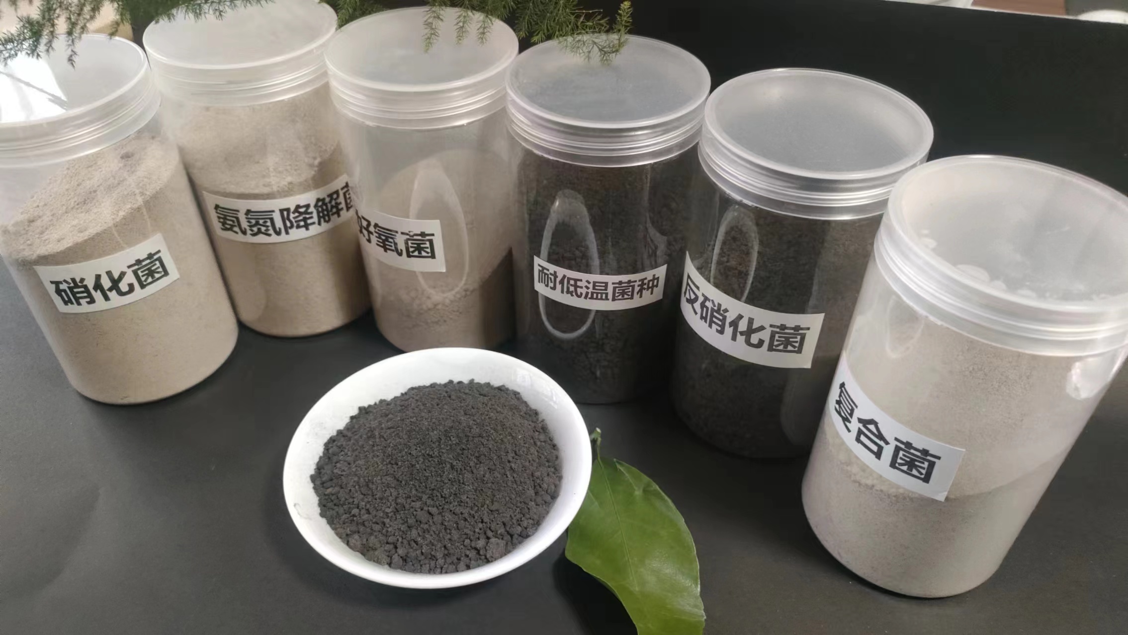 ���Ͼ���