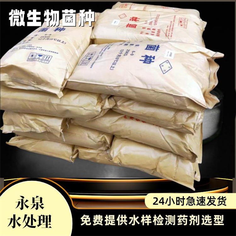 ΢�������